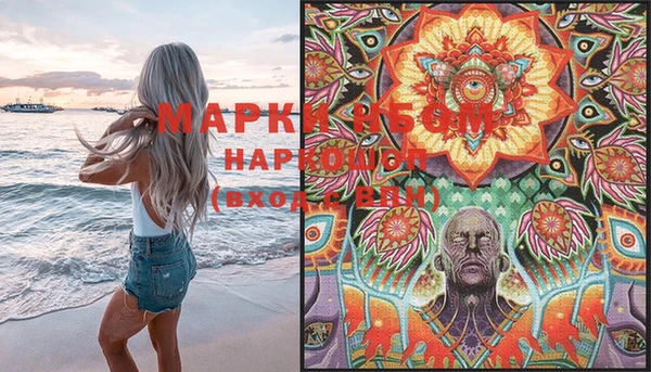 индика Богданович