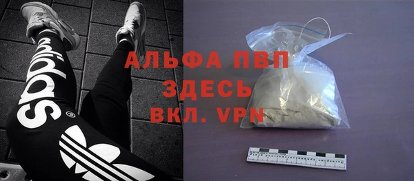индика Богданович