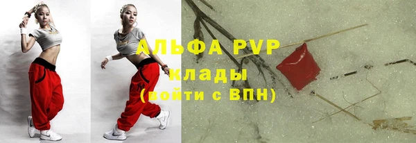 индика Богданович