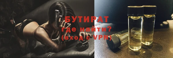 индика Богданович