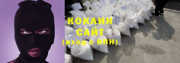 индика Богданович