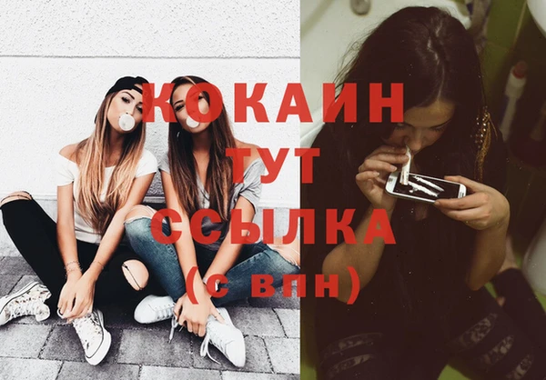 индика Богданович