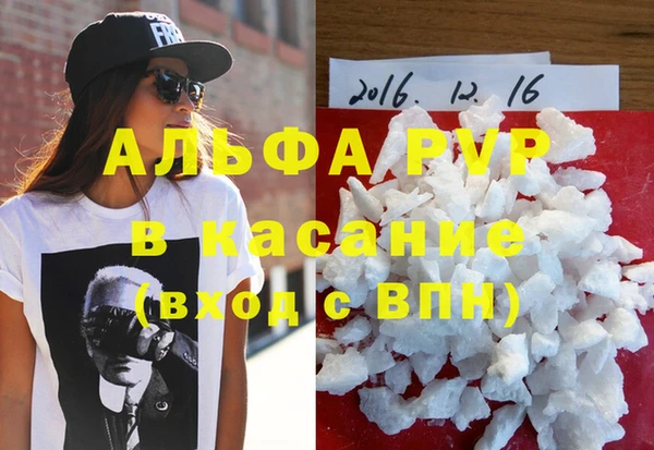 индика Богданович