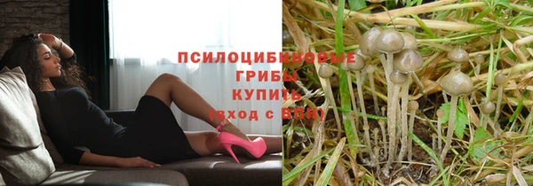 эйфоретик Беломорск