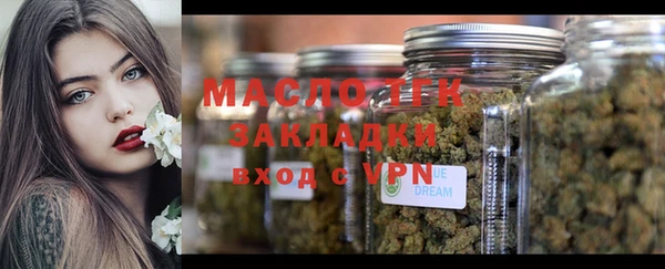 индика Богданович