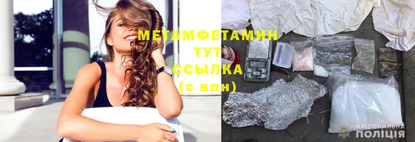 индика Богданович