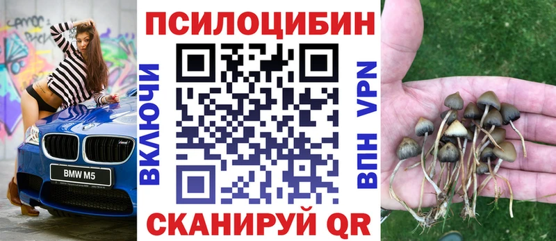 как найти наркотики Южно-Сухокумск Псилоцибиновые грибы Magic Shrooms